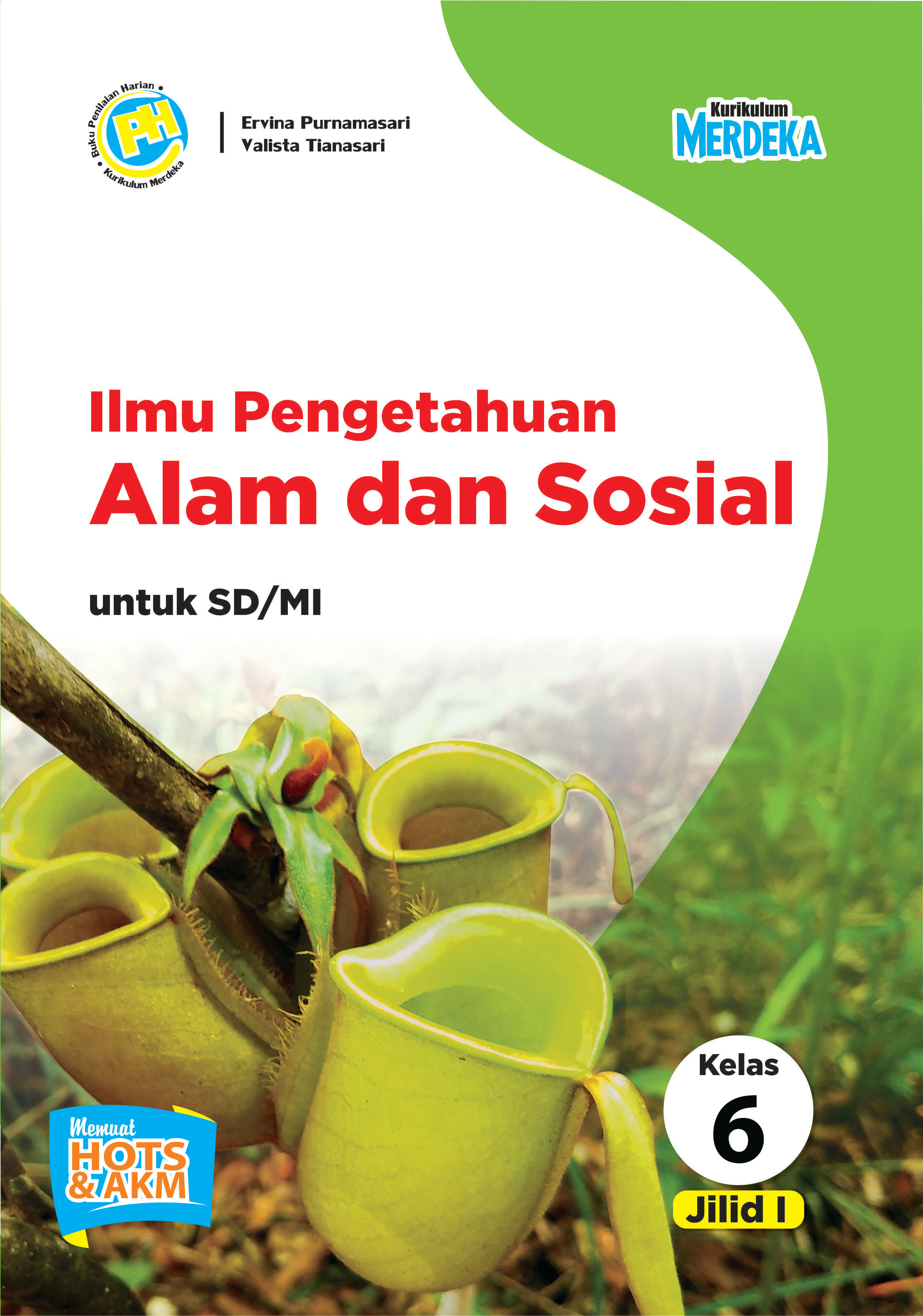 Ilmu Pengetahuan dan Sosial Kelas 6